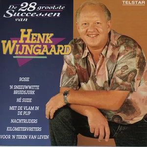 De 28 grootste successen